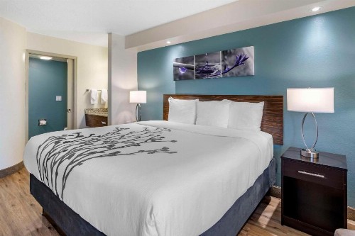 Sleep Inn Clearwater-St Petersburg - image 5