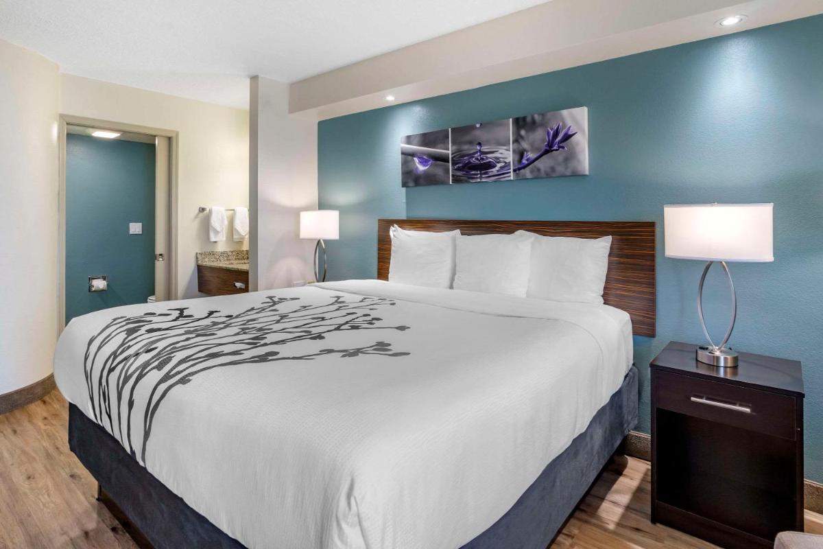 Sleep Inn Clearwater-St Petersburg - image 6