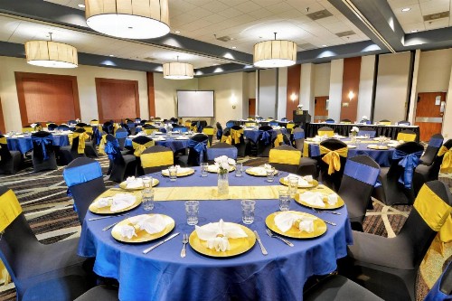 Holiday Inn St. Petersburg N - Clearwater an IHG Hotel - image 11