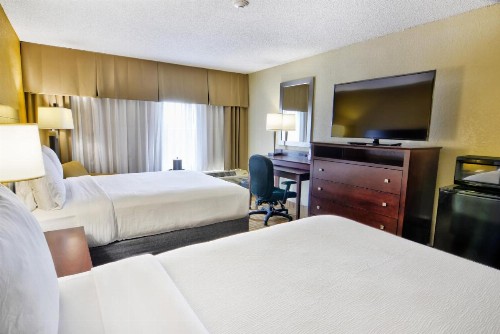 Holiday Inn St. Petersburg N - Clearwater an IHG Hotel - image 12