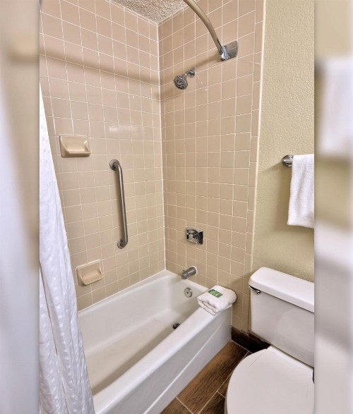 Holiday Inn St. Petersburg N - Clearwater an IHG Hotel - image 14