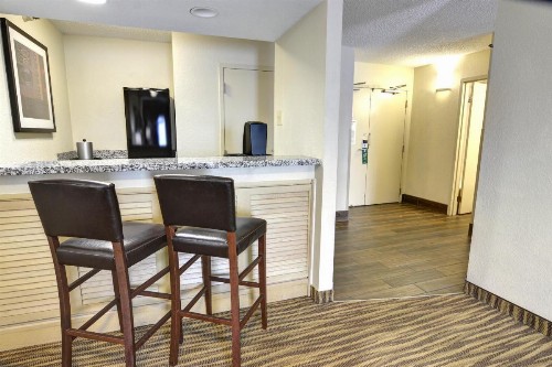 Holiday Inn St. Petersburg N - Clearwater an IHG Hotel - image 15
