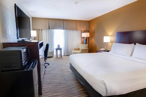 Holiday Inn St. Petersburg N - Clearwater an IHG Hotel - image 17