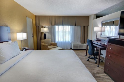 Holiday Inn St. Petersburg N - Clearwater an IHG Hotel - image 18