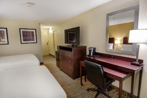 Holiday Inn St. Petersburg N - Clearwater an IHG Hotel - image 19