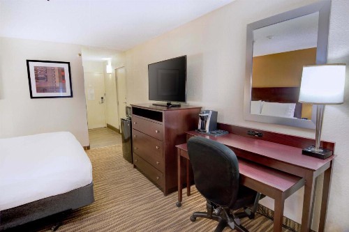 Holiday Inn St. Petersburg N - Clearwater an IHG Hotel - image 20