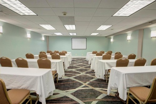 Holiday Inn St. Petersburg N - Clearwater an IHG Hotel - image 24