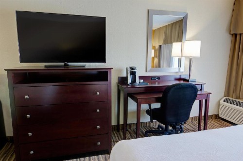 Holiday Inn St. Petersburg N - Clearwater an IHG Hotel - image 25