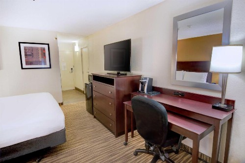 Holiday Inn St. Petersburg N - Clearwater an IHG Hotel - image 32