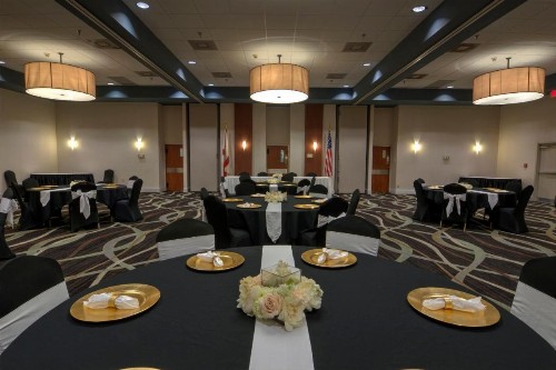 Holiday Inn St. Petersburg N - Clearwater an IHG Hotel - image 40