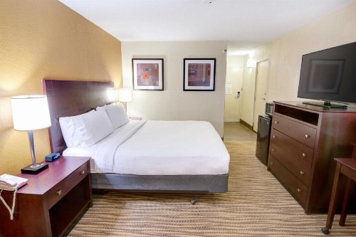 Holiday Inn St. Petersburg N - Clearwater an IHG Hotel - image 41