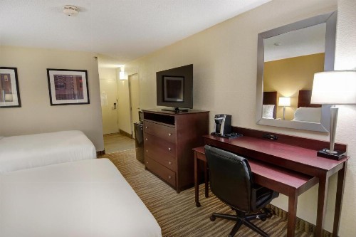 Holiday Inn St. Petersburg N - Clearwater an IHG Hotel - image 43