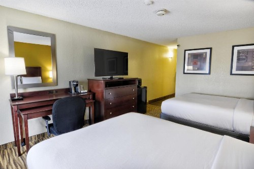 Holiday Inn St. Petersburg N - Clearwater an IHG Hotel - image 45
