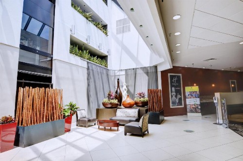 Holiday Inn St. Petersburg N - Clearwater an IHG Hotel - image 8