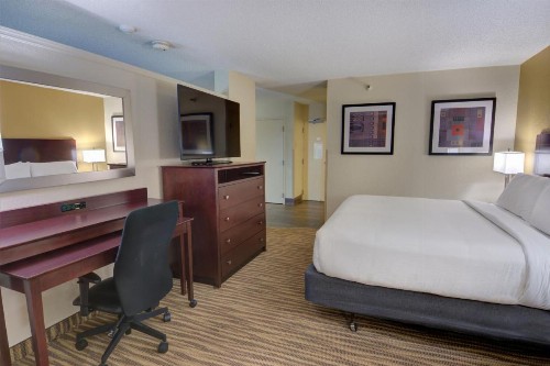 Holiday Inn St. Petersburg N - Clearwater an IHG Hotel - image 9