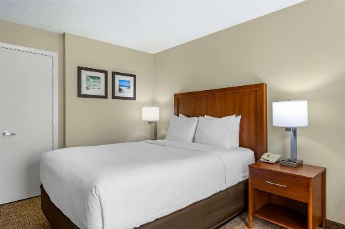 Comfort Inn & Suites Clearwater - St Petersburg Carillon Park - image 14