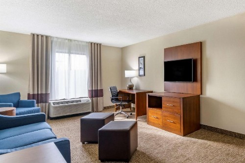 Comfort Inn & Suites Clearwater - St Petersburg Carillon Park - image 17