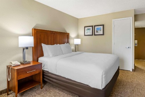 Comfort Inn & Suites Clearwater - St Petersburg Carillon Park - image 19