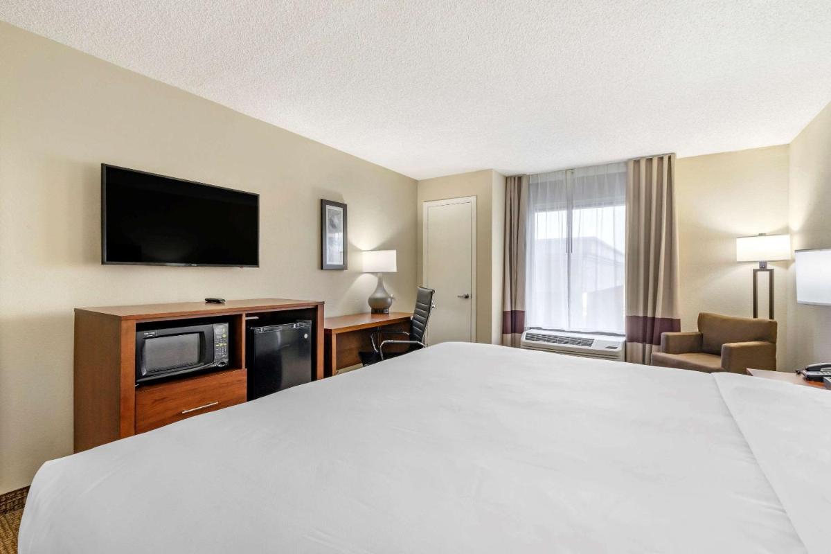 Comfort Inn & Suites Clearwater - St Petersburg Carillon Park - image 2