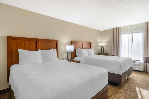 Comfort Inn & Suites Clearwater - St Petersburg Carillon Park - image 20