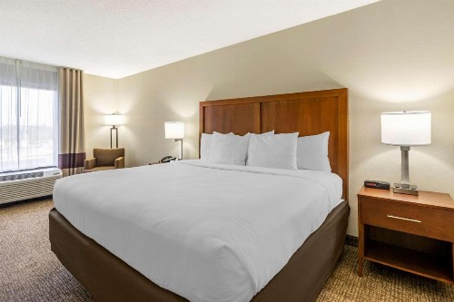 Comfort Inn & Suites Clearwater - St Petersburg Carillon Park - image 21
