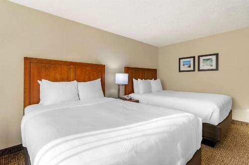 Comfort Inn & Suites Clearwater - St Petersburg Carillon Park - image 23