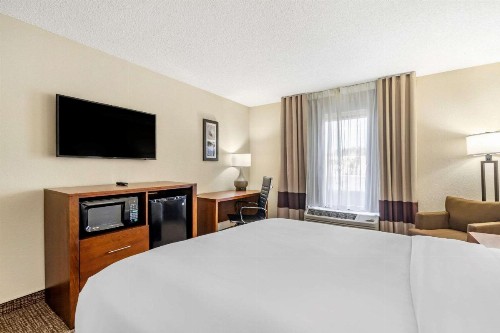 Comfort Inn & Suites Clearwater - St Petersburg Carillon Park - image 25
