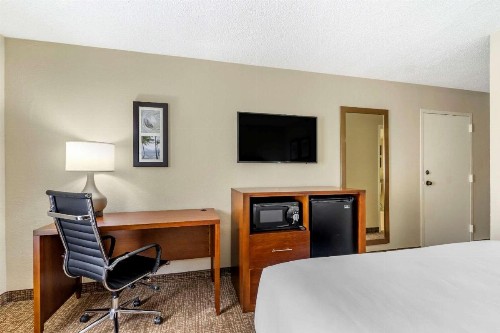 Comfort Inn & Suites Clearwater - St Petersburg Carillon Park - image 27