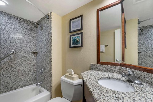 Comfort Inn & Suites Clearwater - St Petersburg Carillon Park - image 29