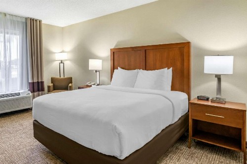 Comfort Inn & Suites Clearwater - St Petersburg Carillon Park - image 36