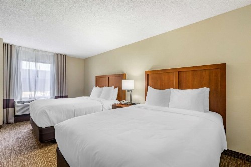 Comfort Inn & Suites Clearwater - St Petersburg Carillon Park - image 37