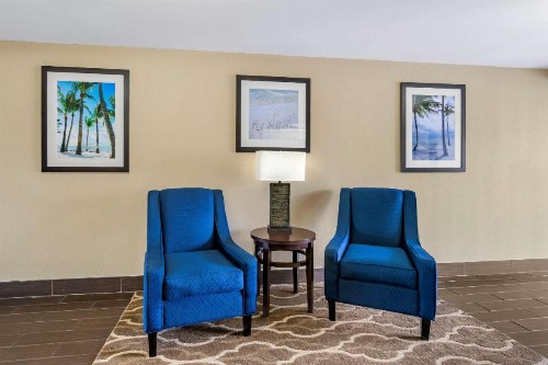 Comfort Inn & Suites Clearwater - St Petersburg Carillon Park - image 4