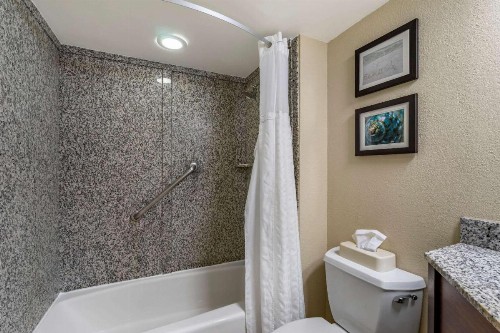 Comfort Inn & Suites Clearwater - St Petersburg Carillon Park - image 40