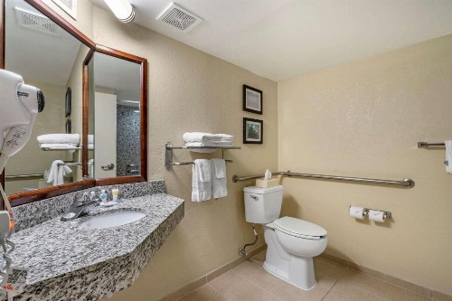 Comfort Inn & Suites Clearwater - St Petersburg Carillon Park - image 42