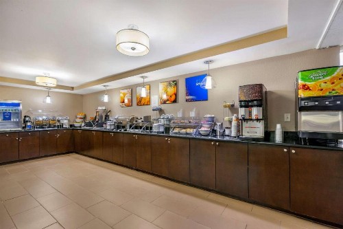 Comfort Inn & Suites Clearwater - St Petersburg Carillon Park - image 43