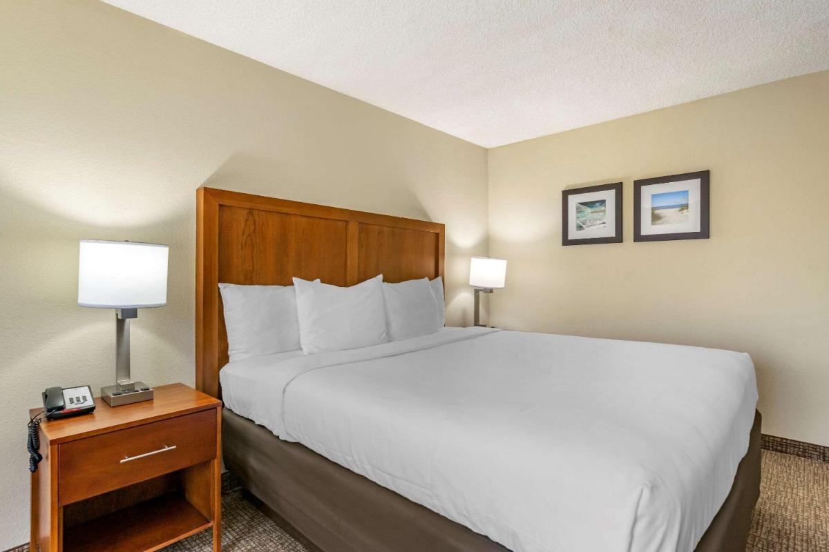 Comfort Inn & Suites Clearwater - St Petersburg Carillon Park - image 5