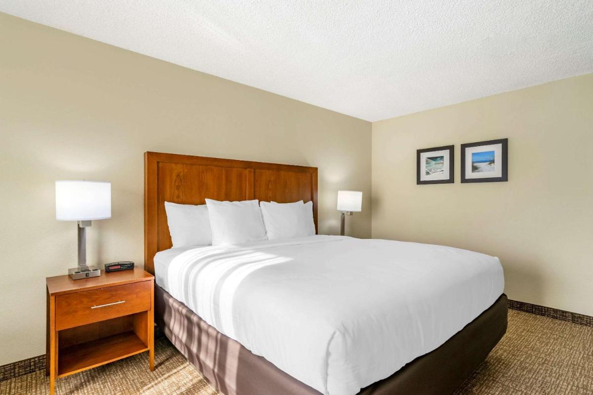 Comfort Inn & Suites Clearwater - St Petersburg Carillon Park - image 7