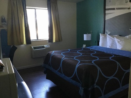 Super 8 by Wyndham Clearwater/St. Petersburg Airport - image 24