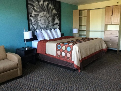 Super 8 by Wyndham Clearwater/St. Petersburg Airport - image 25