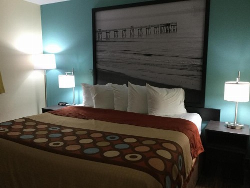 Super 8 by Wyndham Clearwater/St. Petersburg Airport - image 30