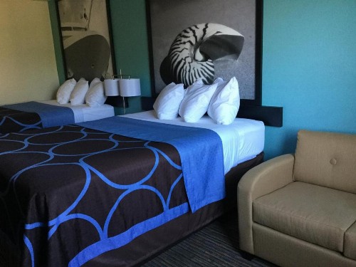 Super 8 by Wyndham Clearwater/St. Petersburg Airport - image 31