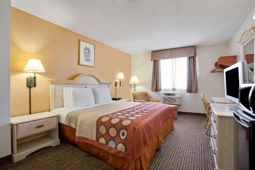 Super 8 by Wyndham Clearwater/St. Petersburg Airport - image 36