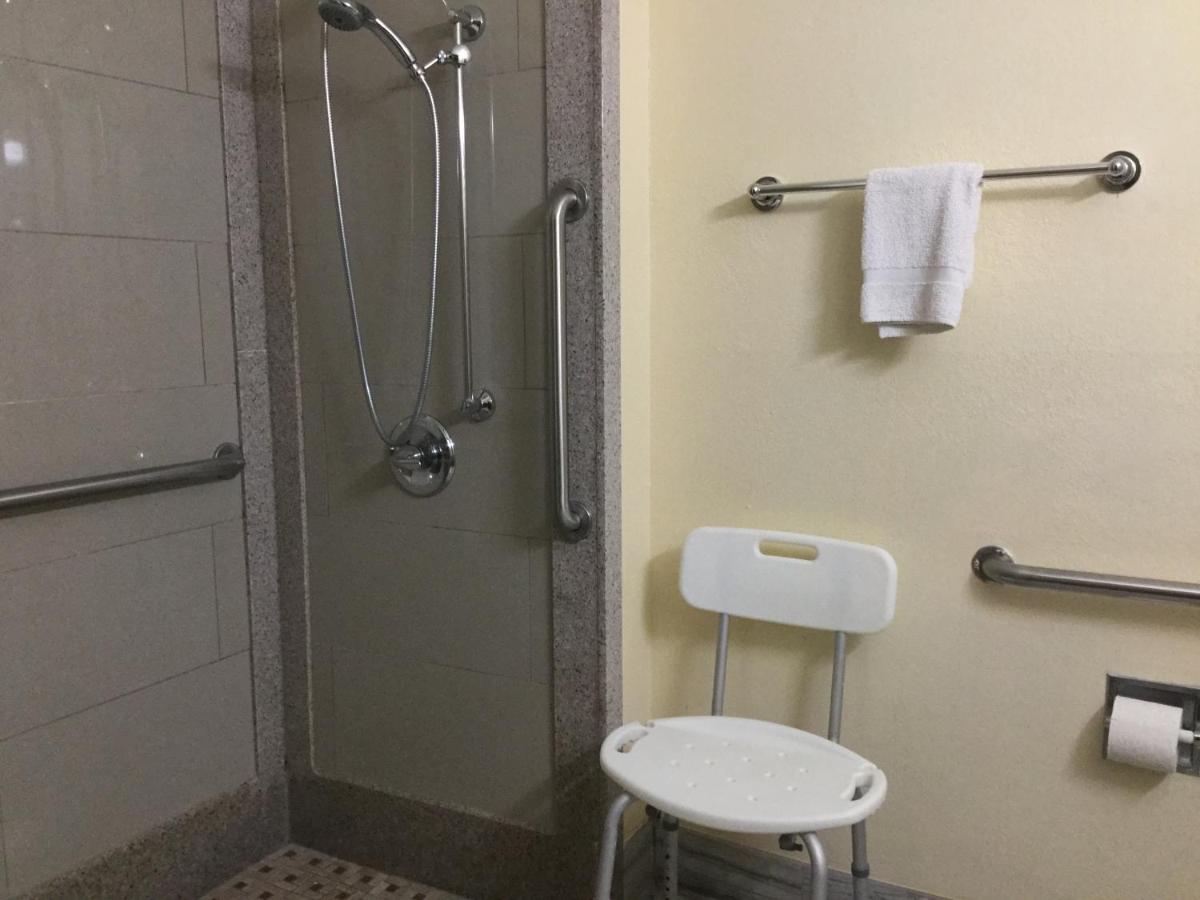 Super 8 by Wyndham Clearwater/St. Petersburg Airport - image 4