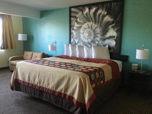Super 8 by Wyndham Clearwater/St. Petersburg Airport - image 44