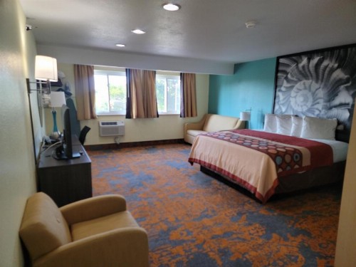 Super 8 by Wyndham Clearwater/St. Petersburg Airport - image 6