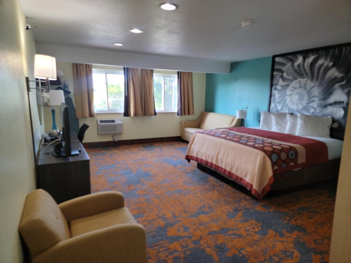 Super 8 by Wyndham Clearwater/St. Petersburg Airport - image 6