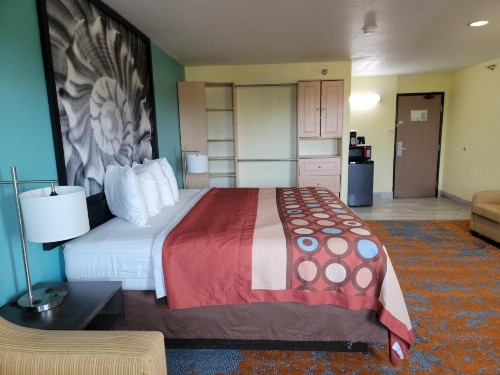 Super 8 by Wyndham Clearwater/St. Petersburg Airport - image 9