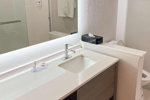 Comfort Suites Clearwater - Dunedin - image 10