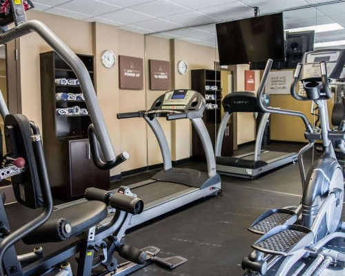 Comfort Suites Clearwater - Dunedin - image 13
