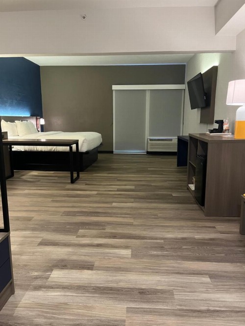 Comfort Suites Clearwater - Dunedin - image 23